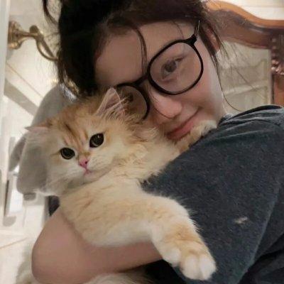 性、谎言和录像带